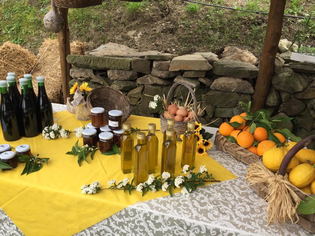 Primaluce Agroturismo *